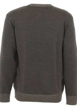 Truien>PAUL EN SHARK TRUI Bruin