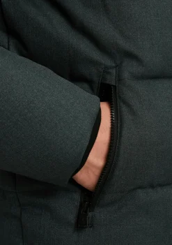 Jassen><noscript><img width=