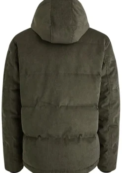 Jassen><noscript><img width=