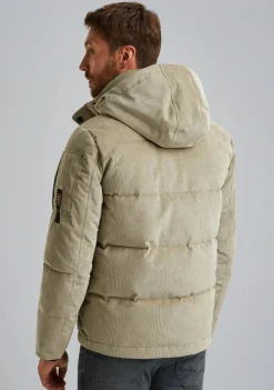 Jassen><noscript><img width=