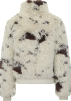 Jassen><noscript><img width=