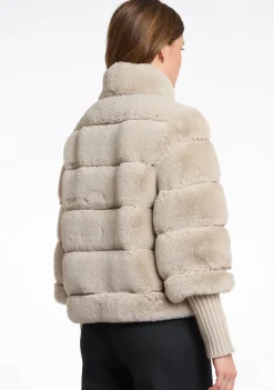 Jassen><noscript><img width=