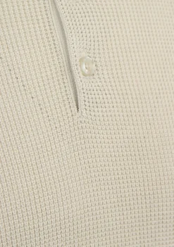 Polo's><noscript><img width=