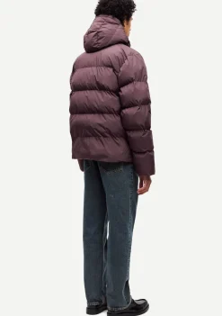 Jassen><noscript><img width=