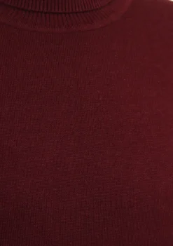 Truien><noscript><img width=