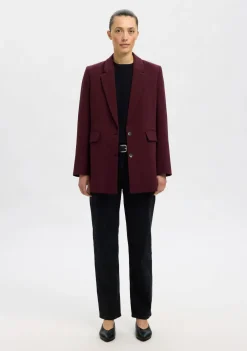 Blazers & Jasjes>SELECTED FEMME BLAZER Rood