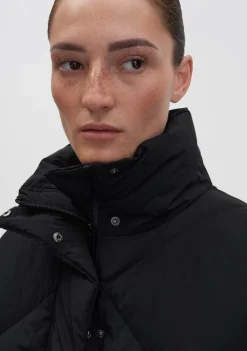 Jassen><noscript><img width=