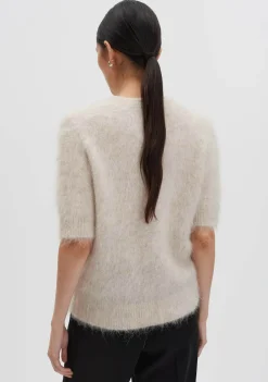 Truien><noscript><img width=