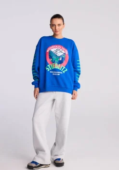 Sweaters|Truien>STIEGLITZ SWEATER Blauw