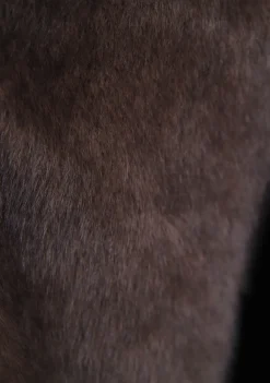 Jassen><noscript><img width=