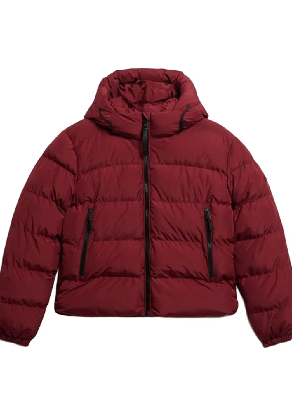 Winterjassen|Jassen>SUPERDRY JACK