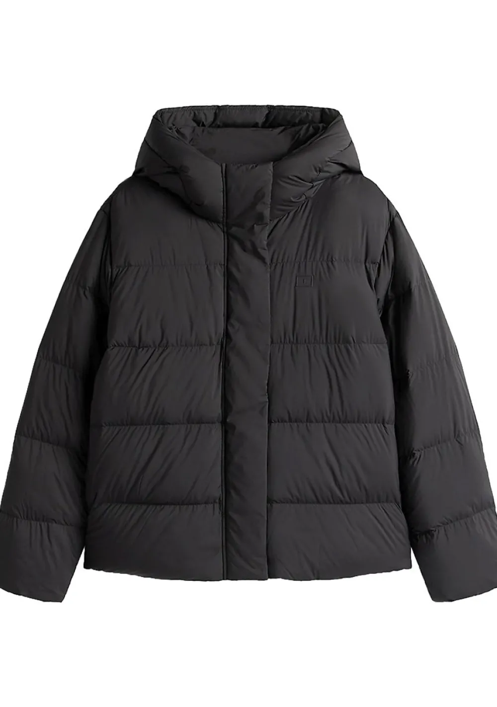 Winterjassen|Jassen>TOMMY HILFIGER JACK