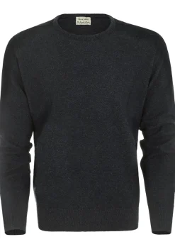 Truien>WILLIAM LOCKIE TRUI