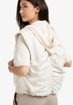 Jassen><noscript><img width=